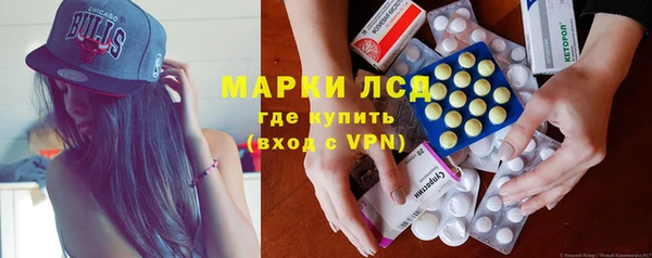 стаф Алексин