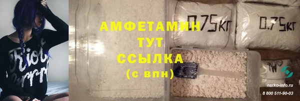 стаф Алексин