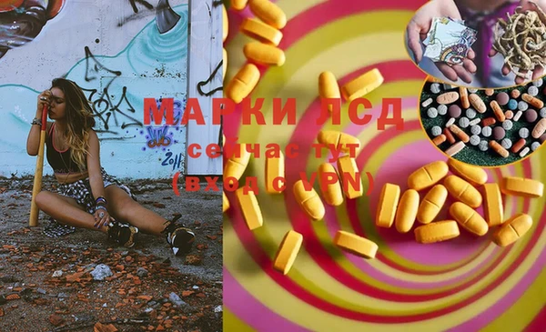 стаф Алексин