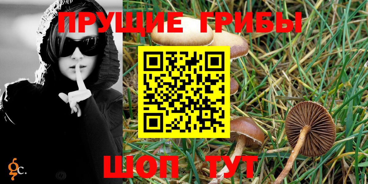 Псилоцибиновые грибы мухоморы  Псилоцибиновые грибы Magic Shrooms  Крымск  Вход с VPN 