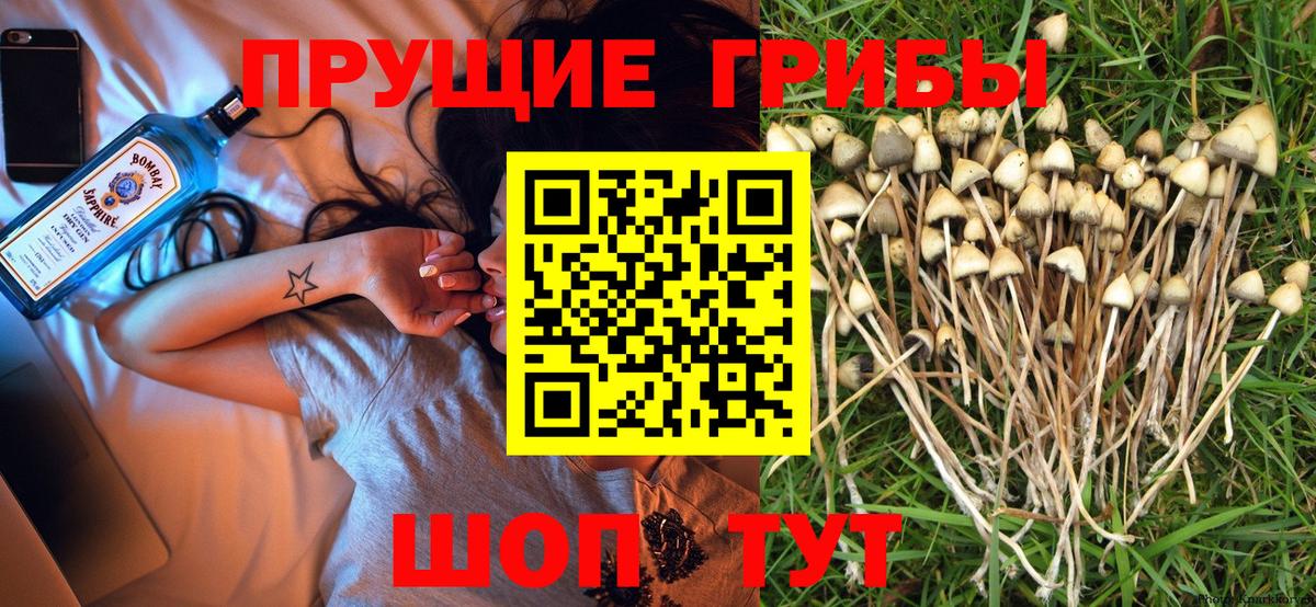 Галлюциногенные грибы прущие грибы Крымск